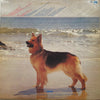 Pre Loved Record - Sad Cafe - Misplaced Ideals