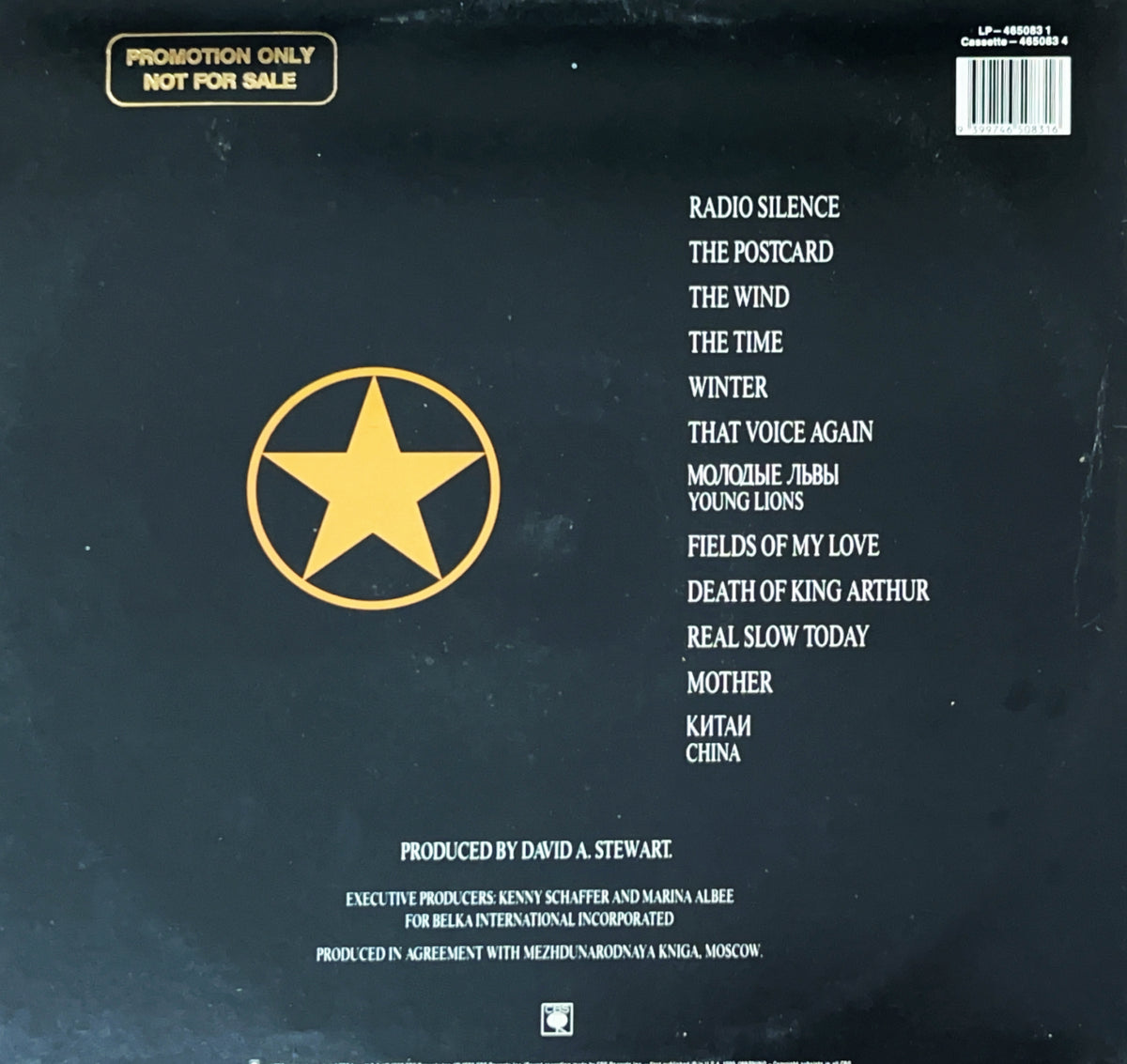Pre Loved Record - Boris Grebenshikov - Radio Silence – Stash Records