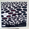 Pre Loved Record - The Shins - Port Of Morrow