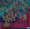 Pre Loved Record - Lamb Of God - Ashes of the Wake