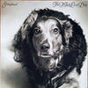 Pre Loved Record - Stringband - The Maple Leaf Dog