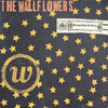 Pre Loved Record - The Wallflowers - Bringing Down The Horse (2LP)