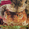 Pre Loved Record - Peter And The Test Tube Babies - The Mating Sounds Of South American Frogs