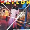 Pre Loved Record - Waylon Jennings - Never Could Toe The Mark