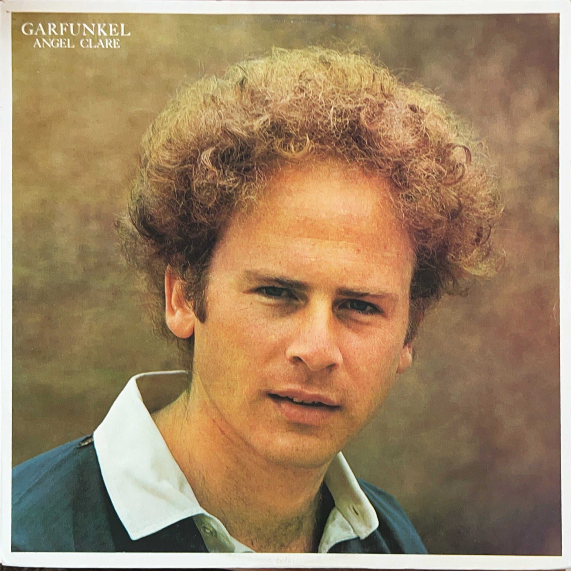 Pre Loved Record - Art Garfunkel - Angel Clare – Stash Records