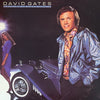 Pre Loved Record - David Gates - Falling In Love Again