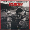 Pre Loved Record - John Cougar Mellencamp - Scarecrow