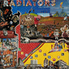 Pre Loved Record - The Radiators - Life's A Gamble